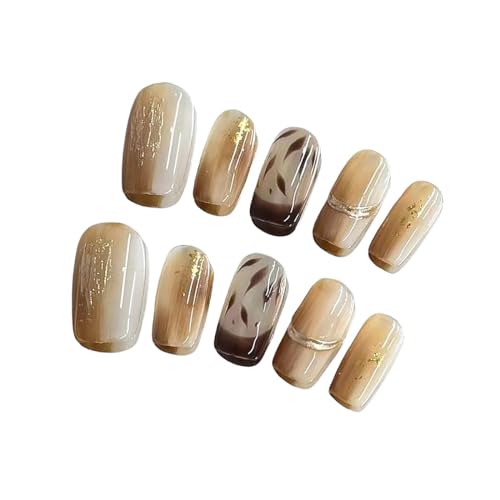 lC`bv~fBAXNGAꑲƎF؍t܂10[{bNXt,S