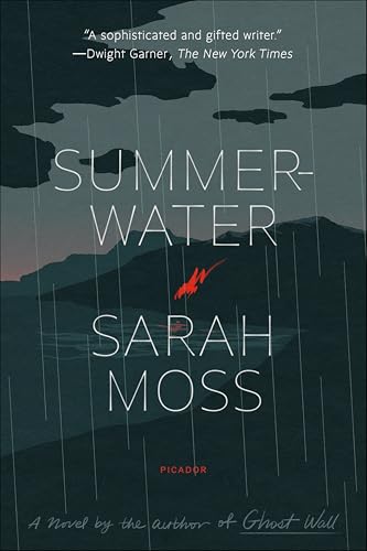 Summerwater: A Novel