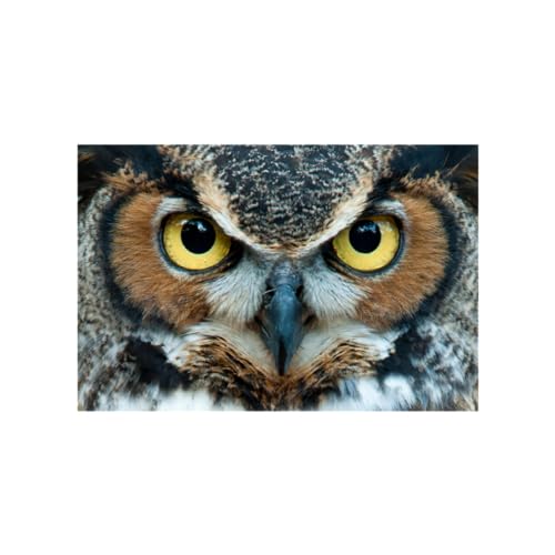 The Wisdom of Silence cover art