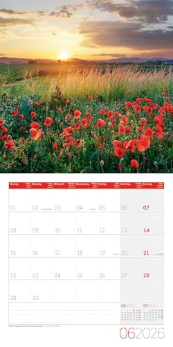 Magie des Lichts Broschürenkalender 2026 - 30x30 - Art12 | Geschmackvoller Landschaftskalender im schlanken Hochformat (aufgeklappt 30x60 cm) | Notiz