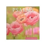 Psalms: Featuring Scripture From the King James Bible: A 2024 Inspirational DaySpring Calendar