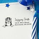 Acorn Sales Co JRS-CA-615-SI-BERNESE-MOUNTAIN-DOG