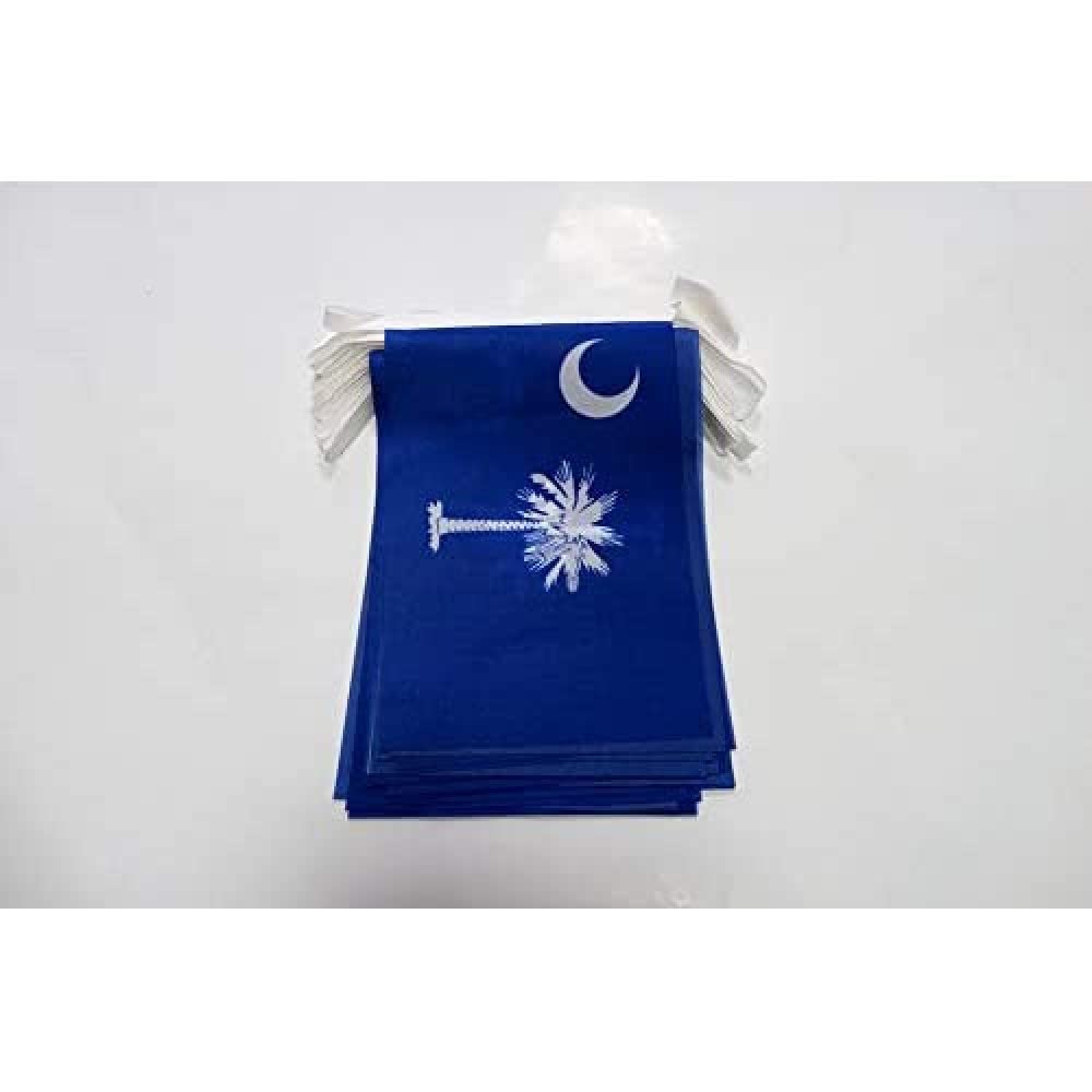 AZ FLAG South Carolina Bunting 20 ft 20 flags Light Polyester