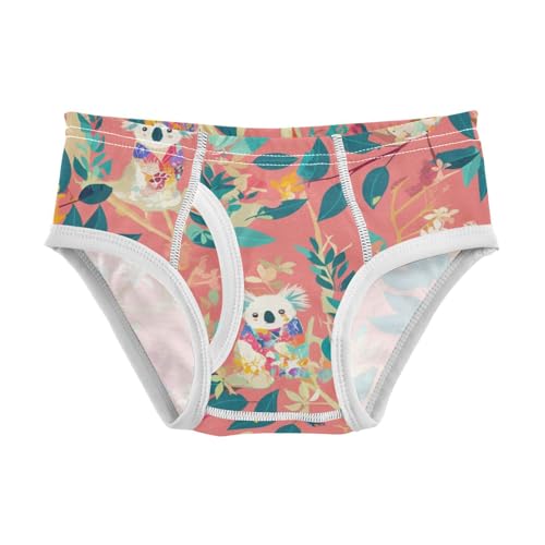 Koala Cutoddler Boys Soft Kids Underwear Cute Children Panties