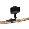UltraPod 3 Mini Travel Tripod with Phone Mount