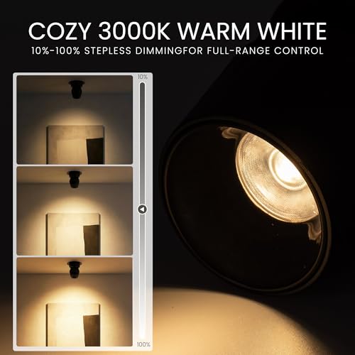Image of 12W Indoor Ceiling Spotlight, Hardwired Directional Dimmable Fixture | Modern LED Spot Light Indoor, 350 Rotation, Surface Mount Accent Light for Picture Painting Living Room Bedroom, CRI97 White