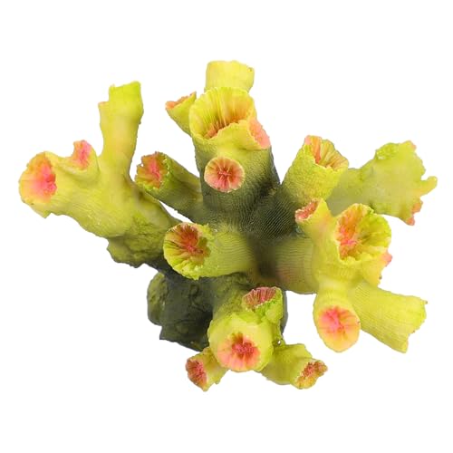 FIXOSHEE X萅i RȐFʃV~[VTS I[ig ̗Vя CeA ̌iϗp