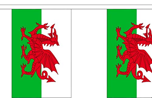 Wales Bunting - 9 Metre Bunting - Polyester - 30 Flags Per 9M Length - FlagSuperstore