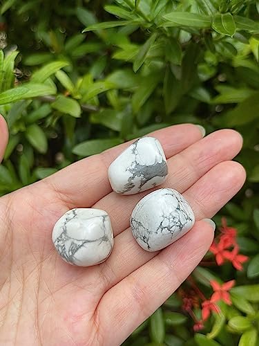 Image of GAF TREASURES 1 /2 LB White Howlite Tumbled Stones, Polished Natural White Howlite Gemstone, White Howlite Healing Crystals (White Howlite)