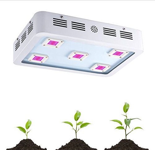 Projecteur LED grow light 1000W lampe horticole serre et intérieur