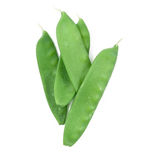 Oregon Sugar Pod Ii Snow Pea Seeds For Planting, 50+ Heirloom Seeds Per Packet, (Isla's Garden Seeds), Non Gmo Seeds, Botanical Name: Pisum Sativum, Great Home Garden Gift #TOP5