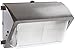 Rab Lighting WP2H100QT/PC2 WALLPACK 100W MH QT HPF Glass Lens + LAMP + 277V PC Bronze