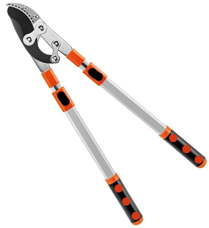 Hetkrishi Professional Ratchet Anvil Lopper| Heavy-Duty Compound Action Cutter | Extendable Handles for Extra Leverage|Garden Pruning Tree Hedge Branch Cutter Garden Lopper (Rachet Looper)-image-27