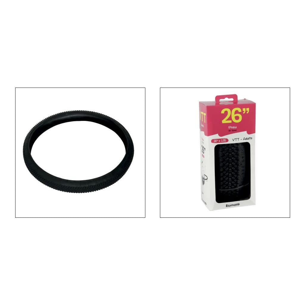 Schwalbe Pneus vélo MTB NOBBY NIC - ADDIX Performance