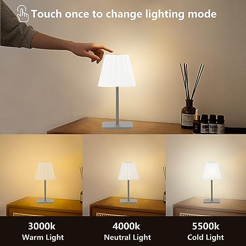 Flornia Outdoor Battery Operated Table Lamp Waterproof, 2200Mah Cordless Table Lamp Rechargeable, Portable Touch Dimmable Desk Lamp, Led Night Light For Patio Camping Restaurant Home Gary #TOP3