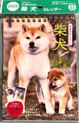 2025N ČJ_[ ㏑ݎ B6^e