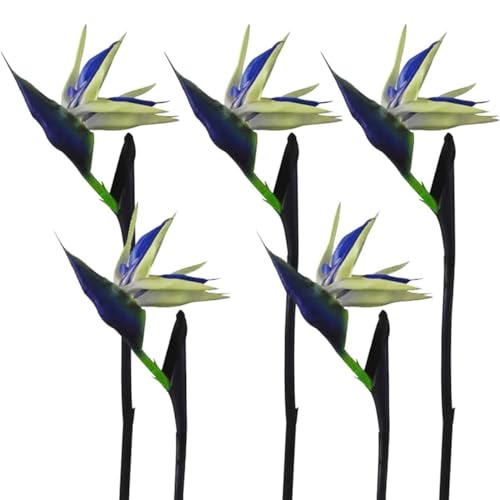 Calcifer 32'' Real Touch Bird of Paradise Artificial Flowers Bouquet for Home Garden Decoration/Wedding Party Decor (Package Quantity: 5 Stems Blue)