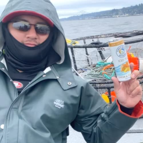 Venice Beach Beverage, Iced Tea, 100% Daily Vitamins, Variety Pack - 4 Flavors – Black Cherry, Ginger, Peach, Ginger & Turmeric, 12 Fluid Ounces, (12 Pack Case) #TOP7