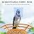KEEPYOO 2.5K Bird Feeder with Camera, Wildlife Video Recording Feeder for Outdoor, Non-Subscription Free Bird Identification with Solar Panel & 32GB Card, Ideal Gift for Nature Lovers (Brown)