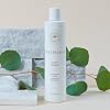 INNERSENSE Organic Beauty - Natural Clarity Hypoallergenic Hairbath | Cleansing, Calming | Non-Toxic, Cruelty-Free Haircare (2 Pack - 2 fl oz | 59.1 ml each)