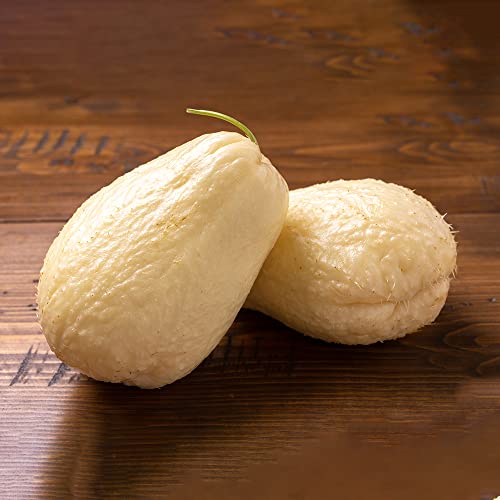 Semillas de chayote, semillas de vegetales, plantas trepadoras Camas elevadas para jardín Cama de vegetales Semillas orgánicas Chayote Balcón Verduras Semillas de vegetales orgánicos - 60 piezas
