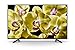 Produktbild Sony KD-75XG8096 Bravia 75 Zoll (189cm) Fernseher (Ultra HD, 4K HDR, Android Smart TV, Chromecast) schwarz