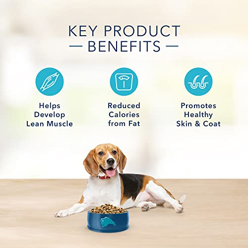 Blue Buffalo Basics Skin & Stomach Care, Natural Adult Healthy Weight Dry Dog Food, Turkey & Potato 4-Lb #TOP5