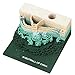 1Pc 130 Fogli 3D Stick Notes Pad Memo Convenienza Adesivi, Fai Da Te Carta Di Nota Art Building Block, Artigianato Creativo Messaggio Note Di Carta Mestieri D'arte,Verde