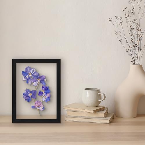 Americanflat 8.5x11 Floating Picture Frame in Black - Use as 8.5x11 Frame, 5x7 Floating Frame, or 4x6 Floating Frame with Polished Glass and Hanging Hardware - Horizontal and Vertical Formats for Wall - Thumbnail 7