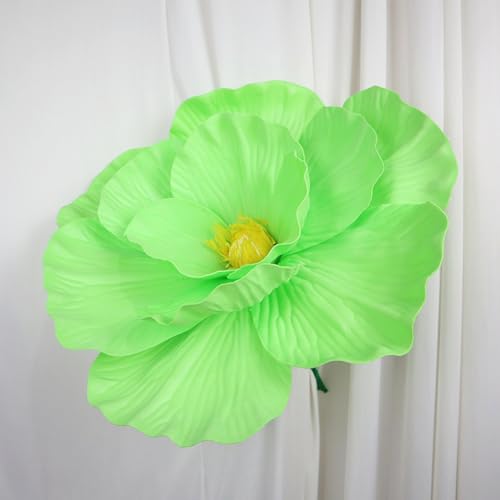 HGJH {^ tFCNt[ 50cm ^ J[8  ȃ|s[ ͂Ȃ lH A {  X rO Kip ͗lւ CeA  lHϗtA R[i[ 140cm