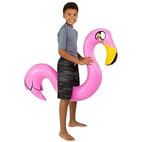 PoolCandy Inflatable Animal Pink Swim Noodle Miami Flamingo