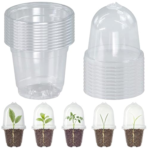 GESDYO Lot de 10 pots de culture, transparents, 7,5 cm, en plastique, avec couvercle dôme d'humidité et trous de drainage, pour graines, boutures, plantes...