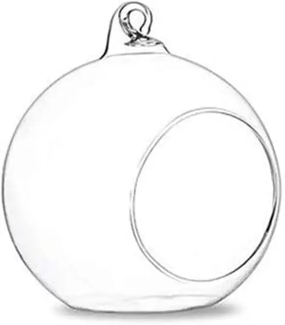 Terrarium en verre suspendu 20 cm - Décoration intérieure et extérieure