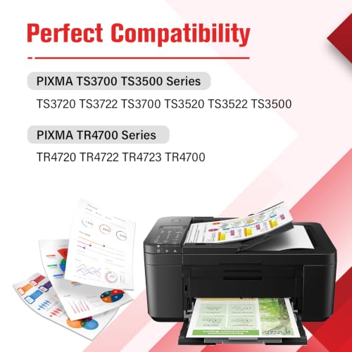 Image of 275 275XL PG-275 TR4720 TS3722 Black Ink Cartridge Replacement for Cannon PG 275 XL for Canon Printers PIXMA TR4720 TS3722 TS3700 TR4700 TS3522 TS3500 TS3520 TS3720 TR4722 (2 Pack, Black)