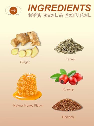 Image of TeeLux Honey Ginger Tea Bags, Smooth & Spicy, Caffeine Free, 100 Count | Warm Ginger Blend with Fennel, Rooibos & Rosehips, Sugar Free, Enjoy Hot or Iced