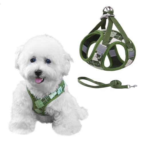 PawSailor Step-in-Hundegeschirr für extra kleine Hunde und Katzen, kein Ziehen, Kariertes, ausbruchsicheres Welpengeschirr mit Leine, verstellbar, reflektierend für sicheren Spaziergang, Grün, XXS