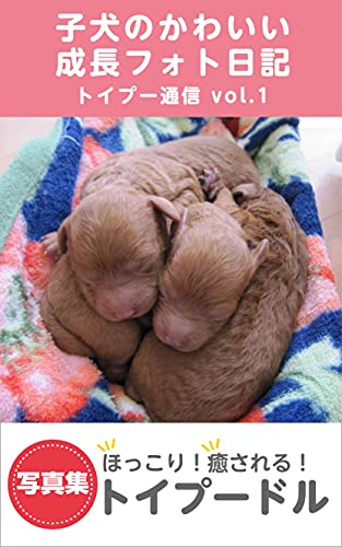子犬のかわいい成長フォト日記 トイプードル 写真集 トイプー通信 Kei 写真 Kindleストア Amazon