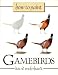How to Paint Gamebirds