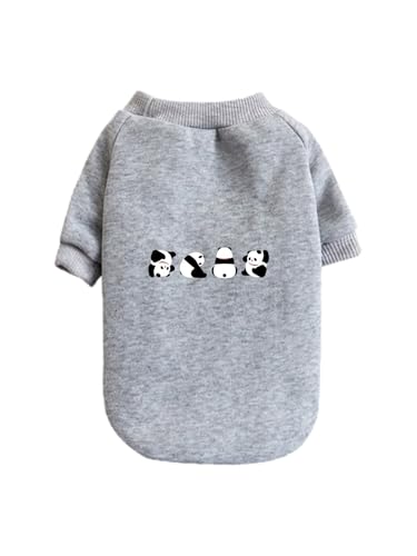  G p_ ybg hbOEFA ̕ L ybgEFA h _炩 іh~   t@bV U ybgpi