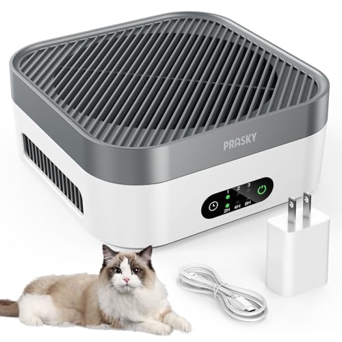 Portable Air Purifier with 2 Filters