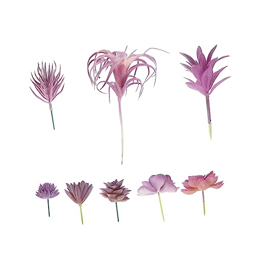 HAMPPLIES p[vV[Y A tFCNA vX`bN CeA ʐ^ ƒp 8Zbg