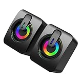 Haut-parleurs pour ordinateur portable : mini haut-parleur, votre expérience d'écoute, haut-parleur externe de bureau