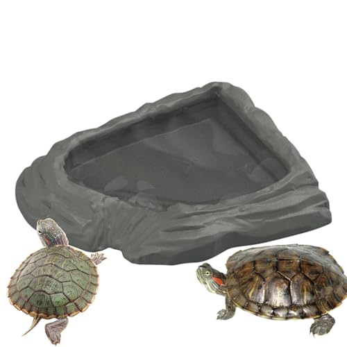 Genérico Futterteller für Schildkröten- Poolschale Drache Barbudo | Dekorativer Teller aus Wasser und Futter für Schildkröten, Schlangen, bärtige und