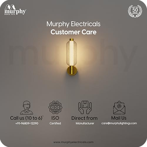 Image of Murphy Noir Net Wall Lamp Pack of 2 | Warm White LED Decorative Wall Light with Premium Golden Finish | 2-Year Warranty