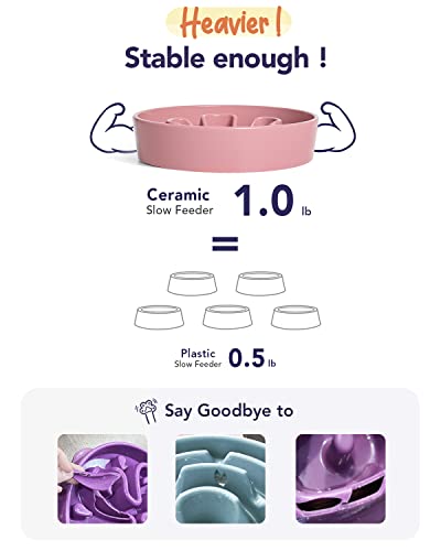 LE TAUCI Hundenapf aus Keramik, Antischlingnapf für Mittelgroße und Kleine Hunde, Langsam Fressen und Spaß für den Hund, Fressnapf mit Rutschfestem Design (Bloom Rosa, S-350 ml)