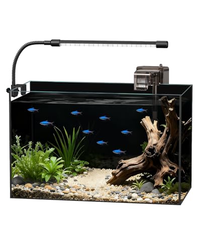 Glass Fish Tank Kit, 5 Gallon Betta Fish Tank Aquarium Starter Kit with Filter, Lights, Lid, for Betta, Goldfish, Small Fish or shrimg