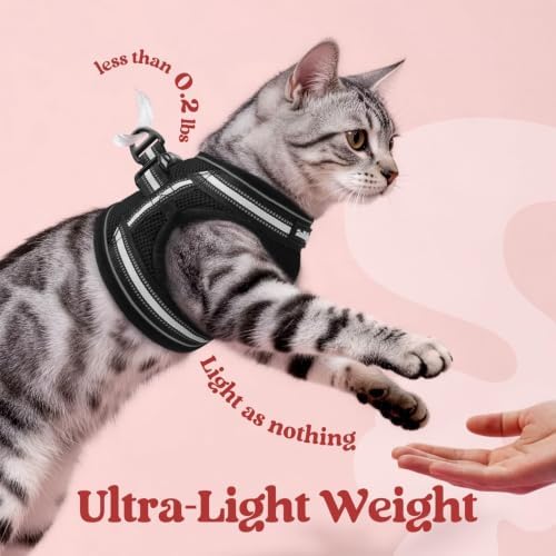 rabbitgoo Cat Harness and Leash Set, Step-in Soft Vest, Black - 5