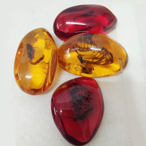 Milisten Bernsteinfossil mit Insektenproben Steine ​​Kristallproben Wohnaccessoires Sammlung Ovaler Anhänger für Kinder (Zufällig) 2St