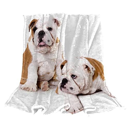 Couverture en peluche microfibre : la qualité premium - 2