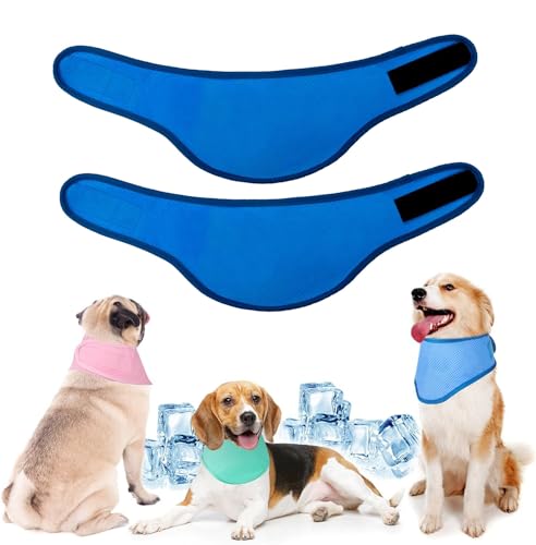 YEDUDA 2�p�b�N ���p��p�o���_�i - �C���X�^���g�`���A�E�g��p���p�o���_�i�A�����ėp�̏��^����^���p�̒��߉\�ȗ�p�J�[�`�[�t�A���˕a��h���A�C�X�X�J�[�t(2�p�b�N�AL)